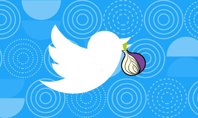 Twitter ra mắt phiên bản mạng xã hội trên Tor - 1