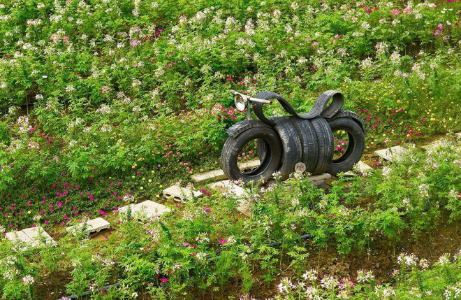 Giới trẻ nườm nượp tới check-in cánh đồng hoa muôn sắc ở Bạc Liêu - 8