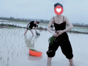 Cô gái mặc áo 2 dây đi cấy lúa gây tranh cãi "làm màu" trên MXH