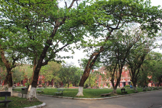 Dừng chân ở ‘ngôi trường hồng’ bên dòng sông Hương - 5