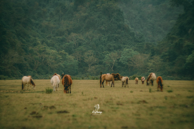 Có một “Mông Cổ thu nhỏ” ở thảo nguyên Đồng Lâm, Lạng Sơn - 1