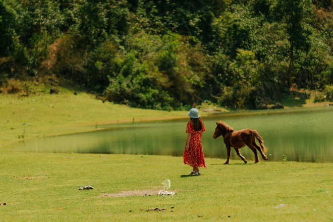 Có một “Mông Cổ thu nhỏ” ở thảo nguyên Đồng Lâm, Lạng Sơn - 8