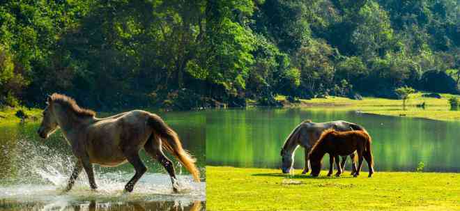 Có một “Mông Cổ thu nhỏ” ở thảo nguyên Đồng Lâm, Lạng Sơn - 13