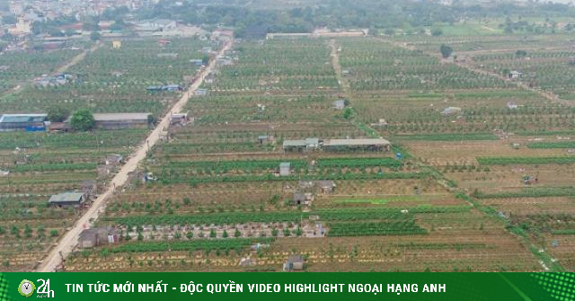 Read more about the article Hà Nội: nghiên cứu làm bãi giữa sông Hồng thành công viên