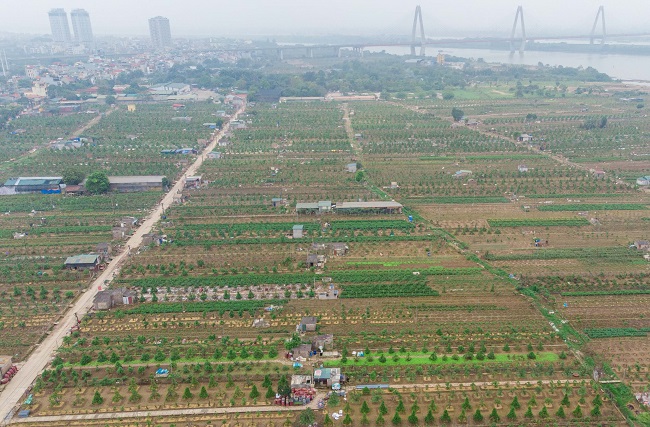 Hà Nội: nghiên cứu làm bãi giữa sông Hồng thành công viên - 1