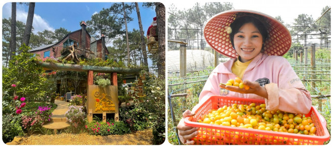 Lạc trôi giữa vùng du lịch sinh thái Măng Đen 1648316177 1648281917 picture 9 1648281512 737 width1430height634 width1430height634 Lạc trôi giữa vùng du lịch sinh thái Măng Đen