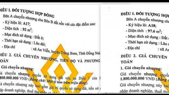 Mất cả tỉ vì hẹn xem nhà ở TP.HCM, lên ô tô bị dẫn mua đất &#34;ảo&#34; ở Đồng Nai - 3