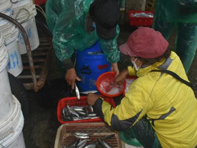Ảnh: Đêm không ngủ nơi chợ cá 20 năm tuổi trong lòng TP Đồng Hới