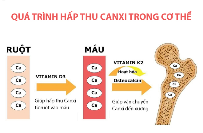 “Cơ hội vàng” giúp con phát triển chiều cao tự nhiên - Cha mẹ đừng bỏ lỡ! - 4