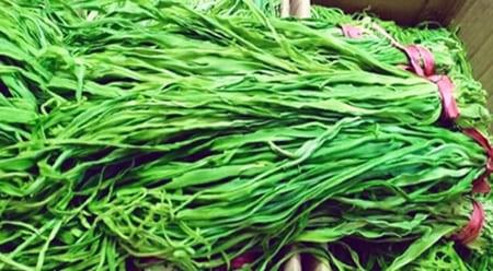 Công dụng của loại rau tiến vua giá nửa triệu/kg mà nhiều người vẫn đua nhau mua dịp Tết - 3