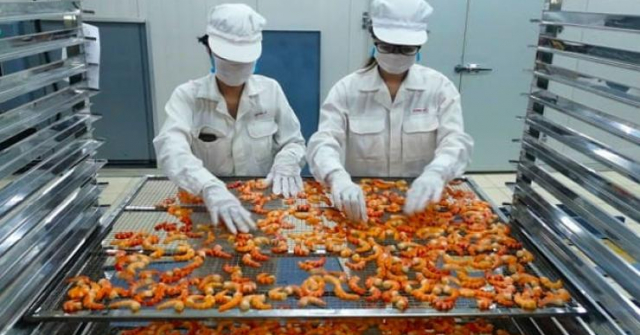 工業用乾燥機を導入した工場の製品品質向上