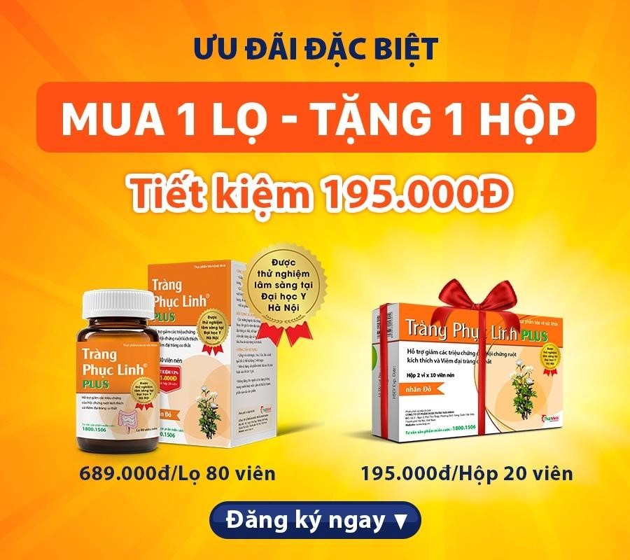 Bảo vệ đại tràng khỏi nỗi ám ảnh mang tên “Tất niên, tổng kết” - 6