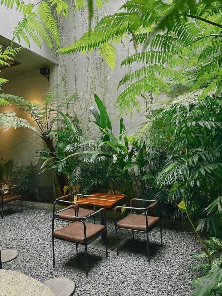 Cô gái Bắc Ninh đến Buôn Ma Thuột rong chơi 30 ngày - 8