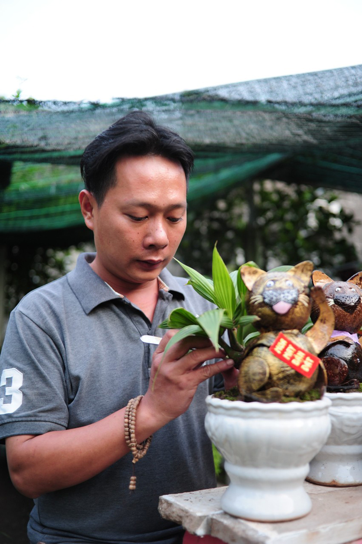 Làm cây bonsai hình lạ, &#34;bay&#34; ngay gần 400 chậu khi vừa mở bán - 1