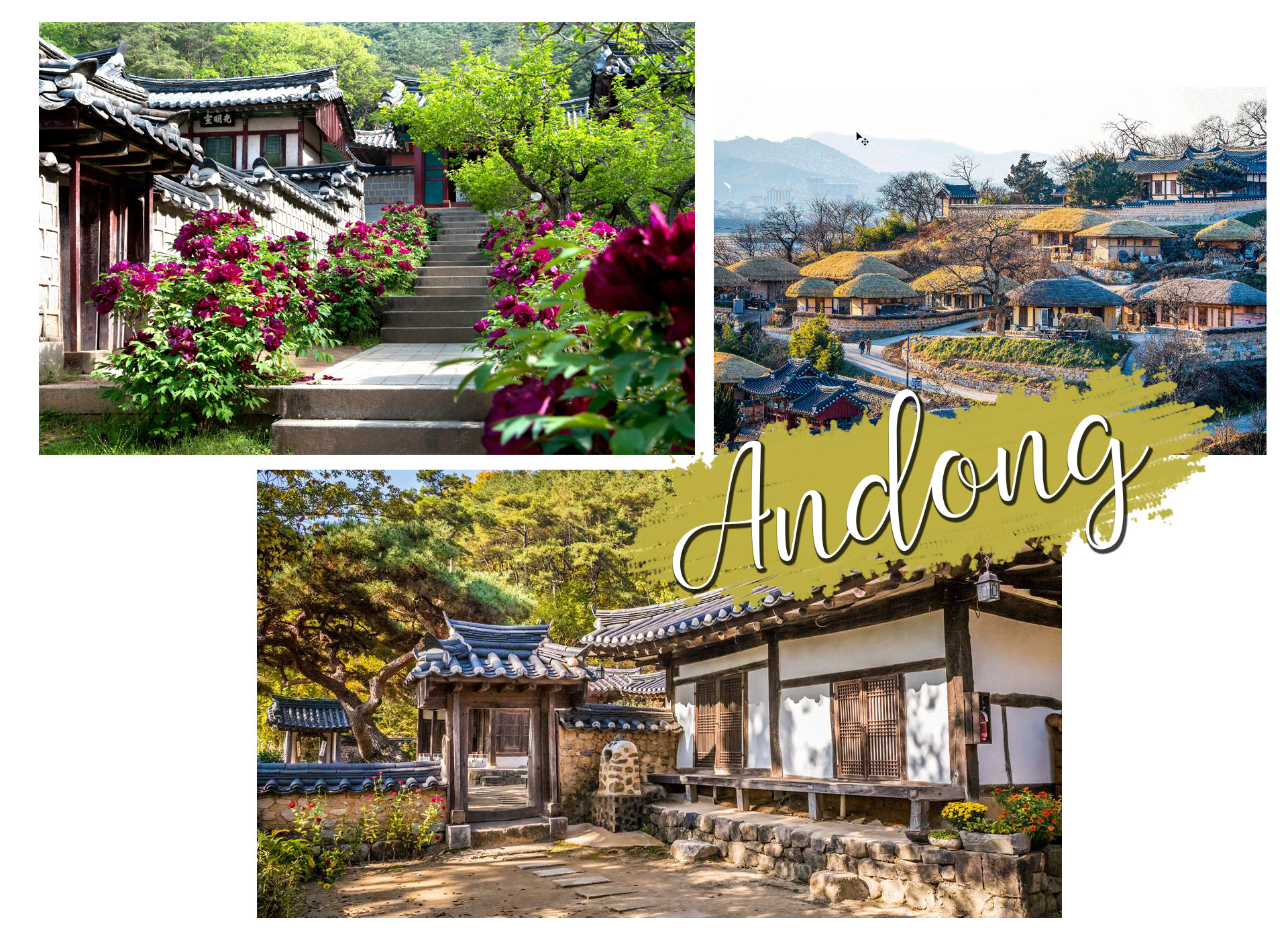 Những thành phố đẹp nhất Hàn Quốc không thể bỏ qua - 2