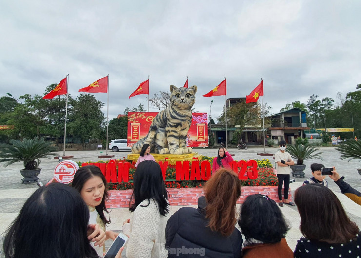Đi hơn 10 km để chụp ảnh check in bên &#39;hoa hậu&#39; mèo Quảng Trị gây sốt mạng xã hội - 1