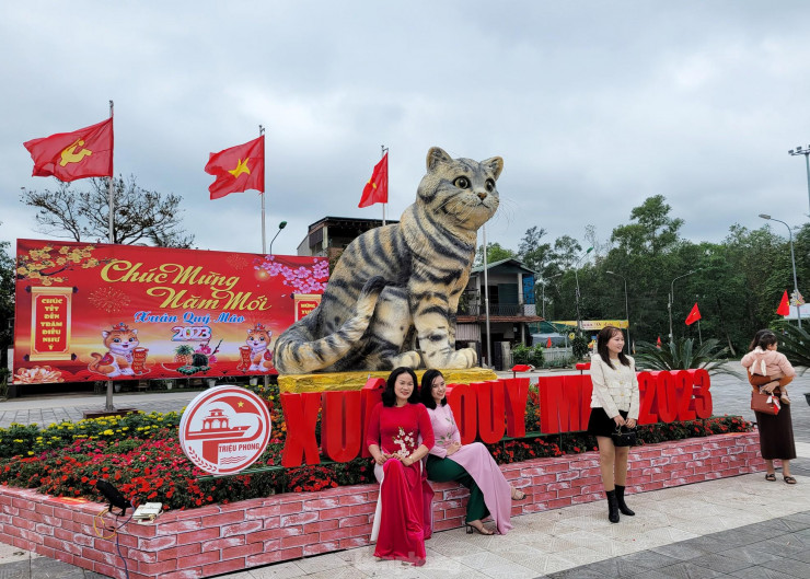 Đi hơn 10 km để chụp ảnh check in bên 'hoa hậu' mèo Quảng Trị gây sốt mạng xã hội - 2