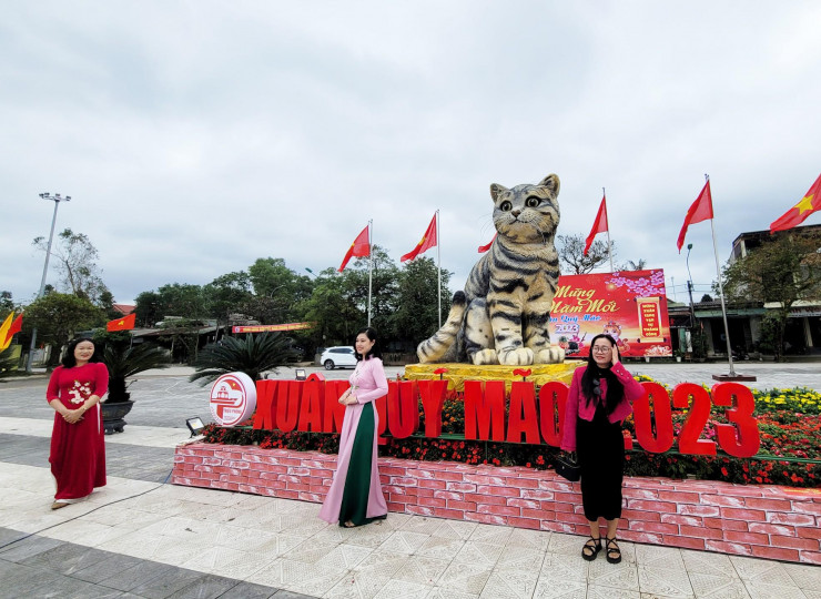 Đi hơn 10 km để chụp ảnh check in bên 'hoa hậu' mèo Quảng Trị gây sốt mạng xã hội - 6