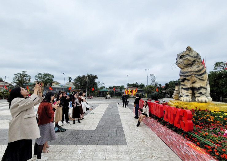 Đi hơn 10 km để chụp ảnh check in bên 'hoa hậu' mèo Quảng Trị gây sốt mạng xã hội - 5