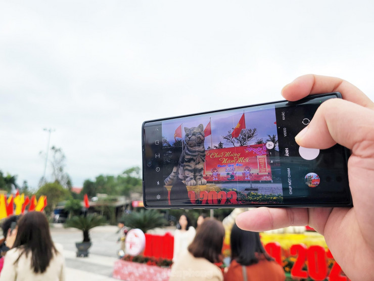 Đi hơn 10 km để chụp ảnh check in bên 'hoa hậu' mèo Quảng Trị gây sốt mạng xã hội - 11