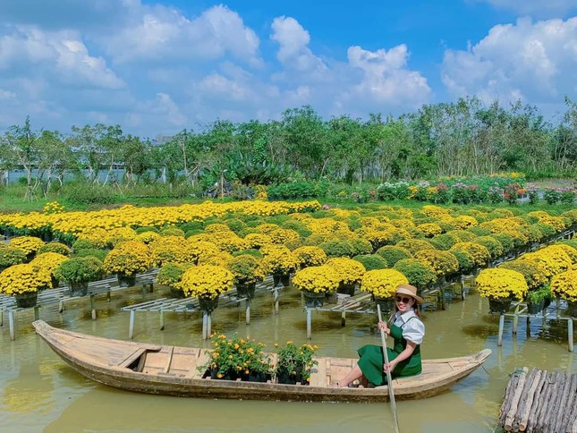 Ghé thăm "thủ phủ hoa" miền Tây dịp Tết Quý Mão: Làng hoa Sa Đéc rực rỡ đón du khách - 5