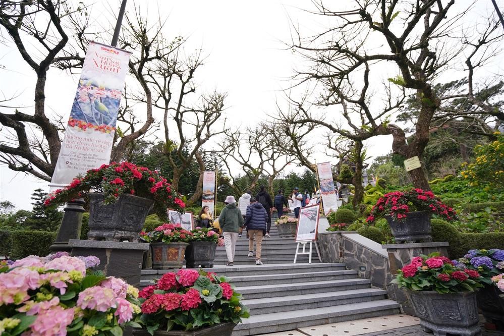 Mê đắm “vương quốc” hoa đào chuông, mãn nhãn minishow “Vũ hội Nhật Nguyệt” tại Sun World Ba Na Hills - 1