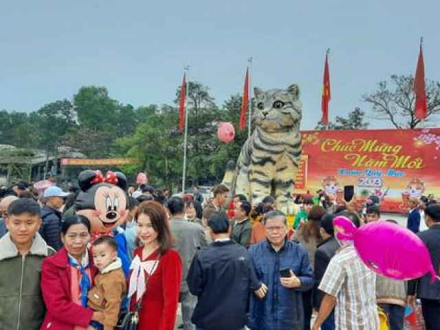 'Miss mèo' Quảng Trị thu hút hàng vạn người đến chụp ảnh