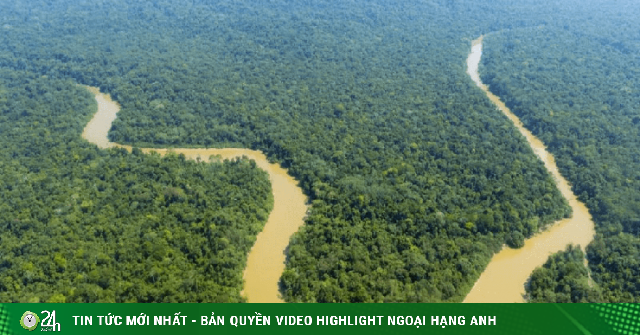 Rừng nhiệt đới Amazon là nơi đáng sợ như thế nào?
