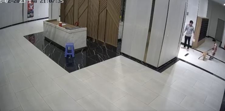 Diễn biến vụ không rọ mõm chó còn đánh người ở quận 7 - 1