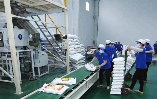 Giá gạo Việt tăng cao nhất trong vòng 2 năm - 1