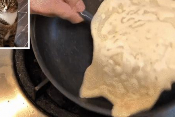 "Ngả mũ" trước đầu bếp Nhật, tạo hình mèo trên bánh pancake chỉ trong 5 phút