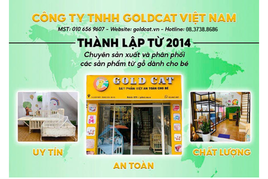 GoldCat hành trình 10 năm xây dựng giấc mơ cho trẻ em Việt - 1
