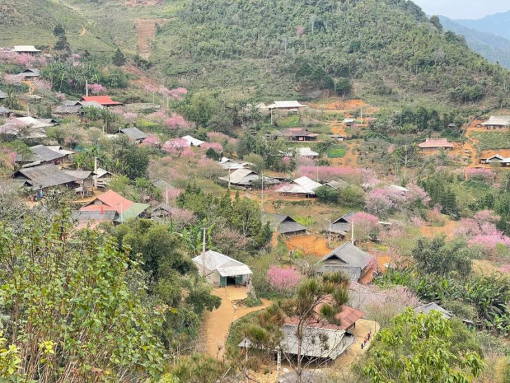Lên ‘sống lưng khủng long’ để ôm mây - đón gió ở Tà Xùa - 5