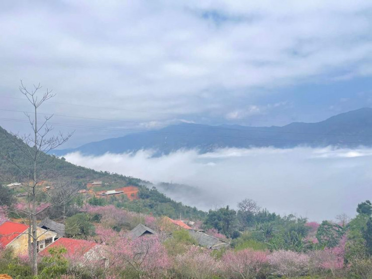 Lên ‘sống lưng khủng long’ để ôm mây - đón gió ở Tà Xùa - 6
