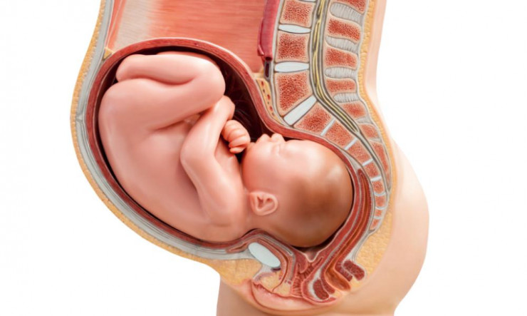 Âm đạo thay đổi như thế nào theo thời gian và "chuyện ấy" có trở ngại? - 2