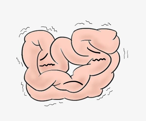 Đại tràng hay tái đi tái lại, đi ngoài nhiều lần phân nát không thành khuôn - 1