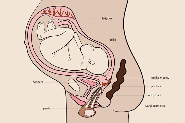 Sex khi có bầu và những lưu ý không phải ai cũng biết - 2