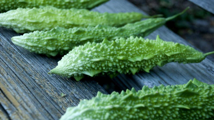 Loại quả sần sùi nhưng là “vua giải độc”, "khắc tinh" của ung thư - 2