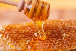 Mật ong đang từ thần dược thành ”chất độc” nếu bạn không biết những điều này