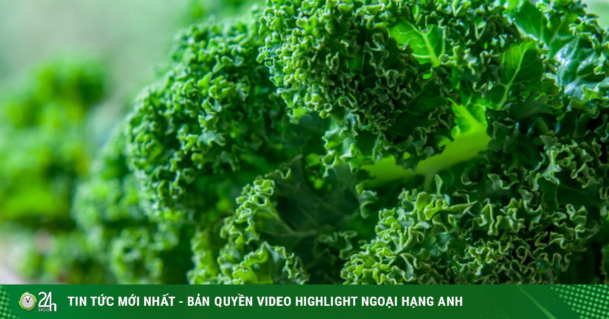 Các loại rau lá xanh tốt nhất mà bạn nên ăn hằng ngày giúp tăng cường ...