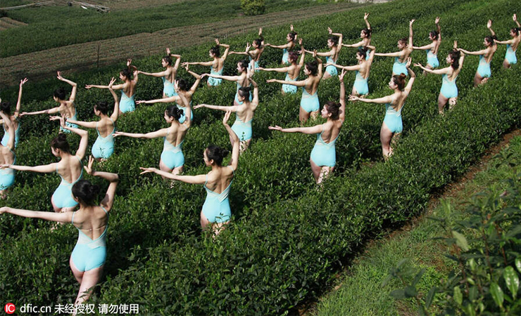 Nhóm các cô gái diện trang phục bodysuit trình diễn các động tác yoga tại vườn trà ở Hàng Châu. 
