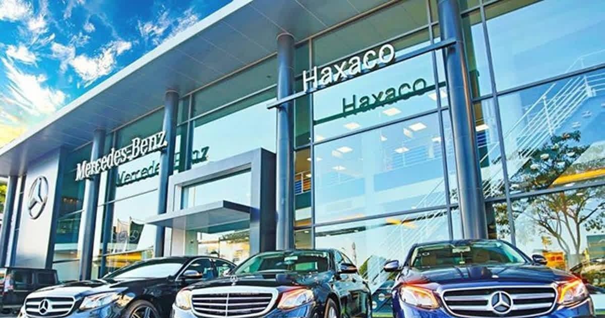 Vợ của chủ tịch DN phân phối Mercedes-Benz lớn nhất Việt Nam chi trăm tỷ mua cổ phiếu - 2