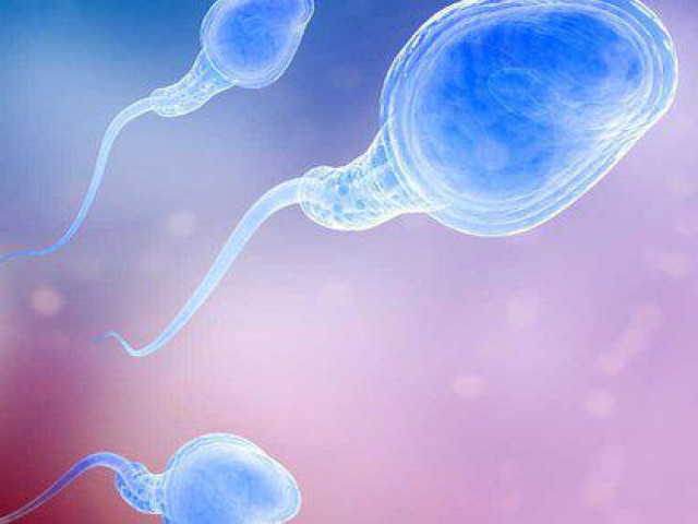 Những điều thú vị về sự khác biệt giữa tinh trùng và tinh dịch