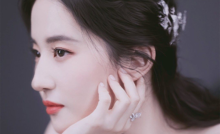 Lưu Diệc Phi sinh năm 1987. Nữ diễn viên nổi tiếng nhất với vai diễn Tiểu Long Nữ.
