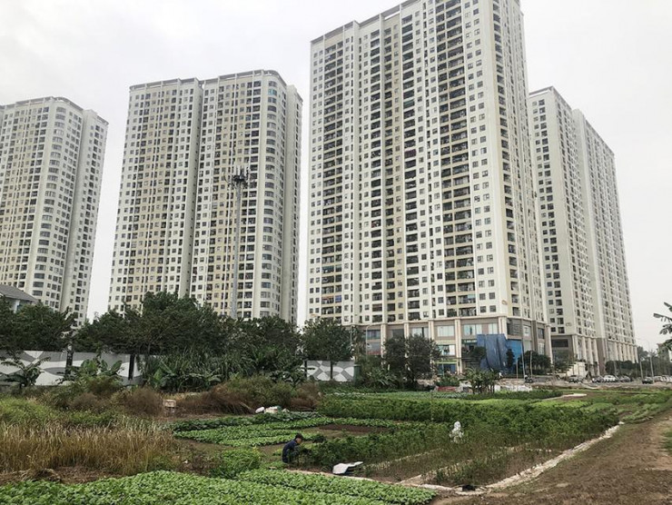Hà Nội lấy ý kiến ở nhà thuê trên 15m2 mới được đăng ký thường trú - 1