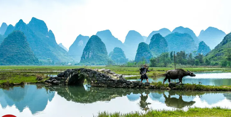 Quế Lâm & Dương Châu: Dòng sông Li ở Quế Lâm giống như một kiệt tác, được bao bọc bởi những ngọn đồi đá vôi tuyệt đẹp, nơi đã truyền cảm hứng cho nhiều nhà thơ và họa sĩ. Nó thuộc top '10 kỳ quan nước hàng đầu' bởi Tạp chí Địa lý Quốc gia của Mỹ và '15 dòng sông đẹp nhất cho du khách' bởi CNN Travel.

