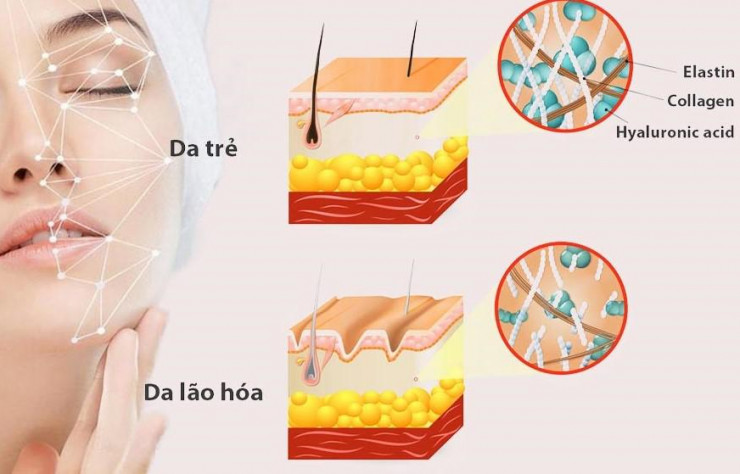 6 thói quen giúp ngăn lão hóa da sớm - 2