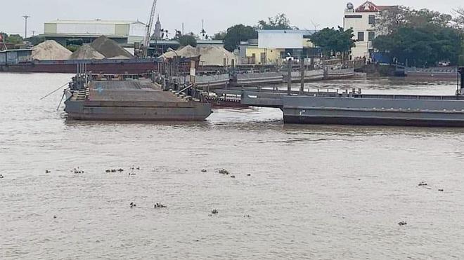 Vẫn chưa tìm thấy nhân viên điều hành cầu phao Ninh Cường mất tích sau vụ bị tàu hàng đâm - 1