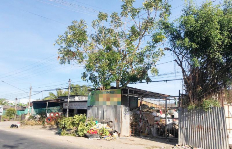 Đi chặt cây thuê, nam thanh niên ở Bạc Liêu bị điện giật tử vong - 1