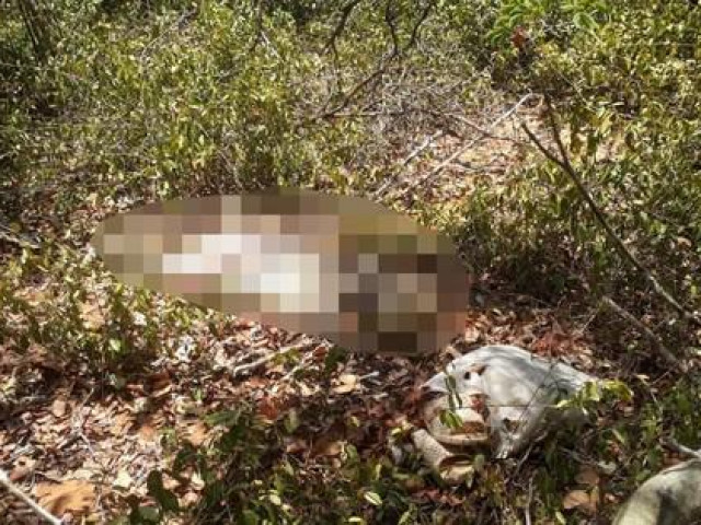 Phát hiện thi thể không nguyên vẹn 1 phụ nữ 30-40 tuổi trong rừng